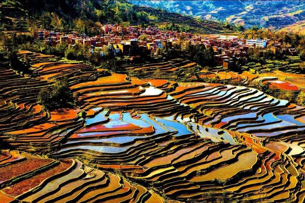 Pastoral Song landscape