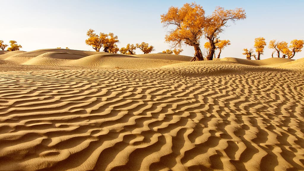 Silk Road Songs